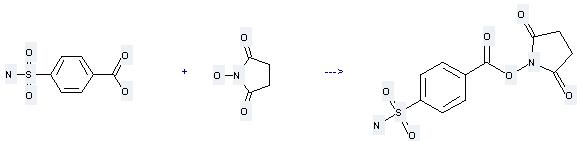 Benzoic acid,4-(aminosulfonyl)- can be used to produce 4-sulfamoyl-benzoic acid 2,5-dioxo-pyrrolidin-1-yl ester